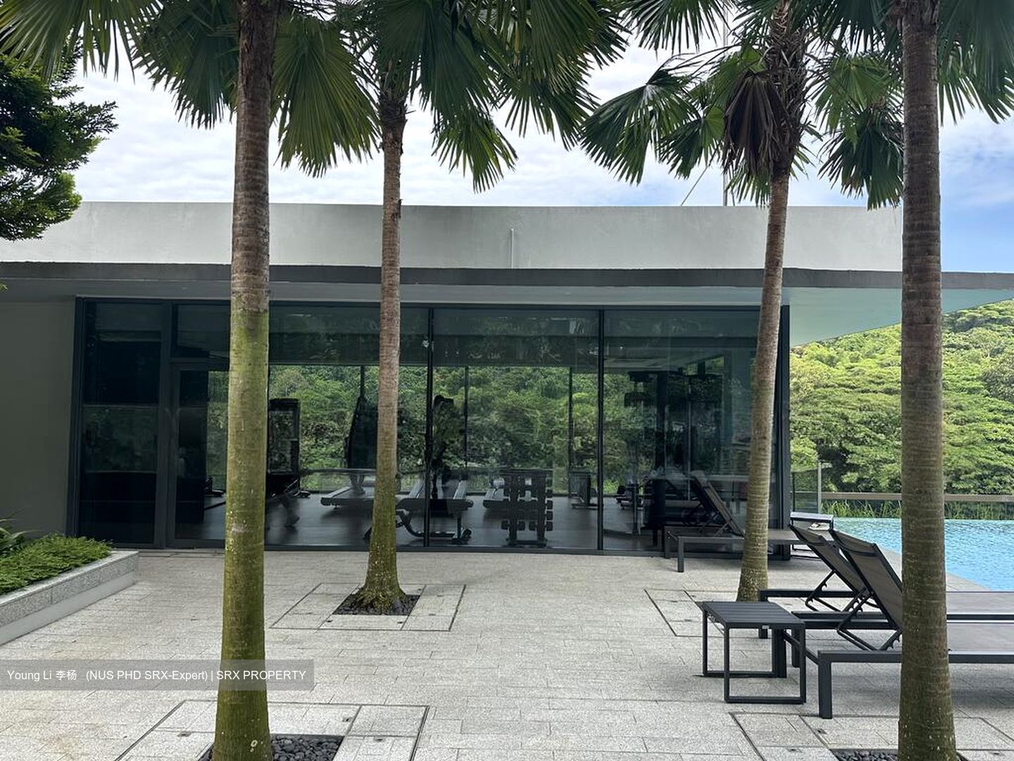 Midwood (D23), Condominium #496769661